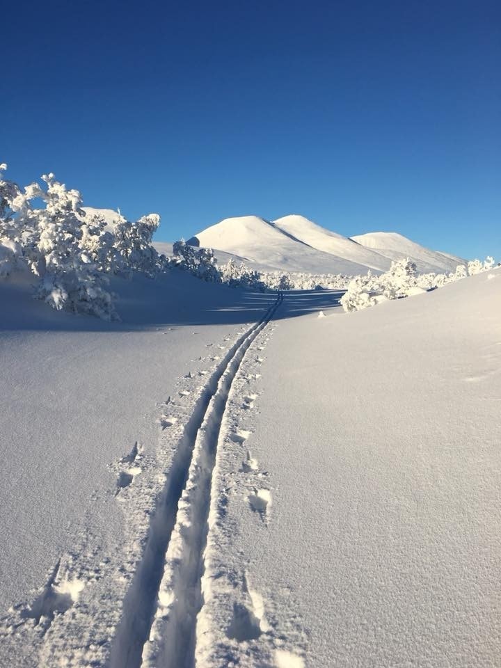 eller lag dine egne spor... I Rendalsfjellene er det god plass til alle! Ingen kø-gåing.
foto: Magne Bakken Galleribilde