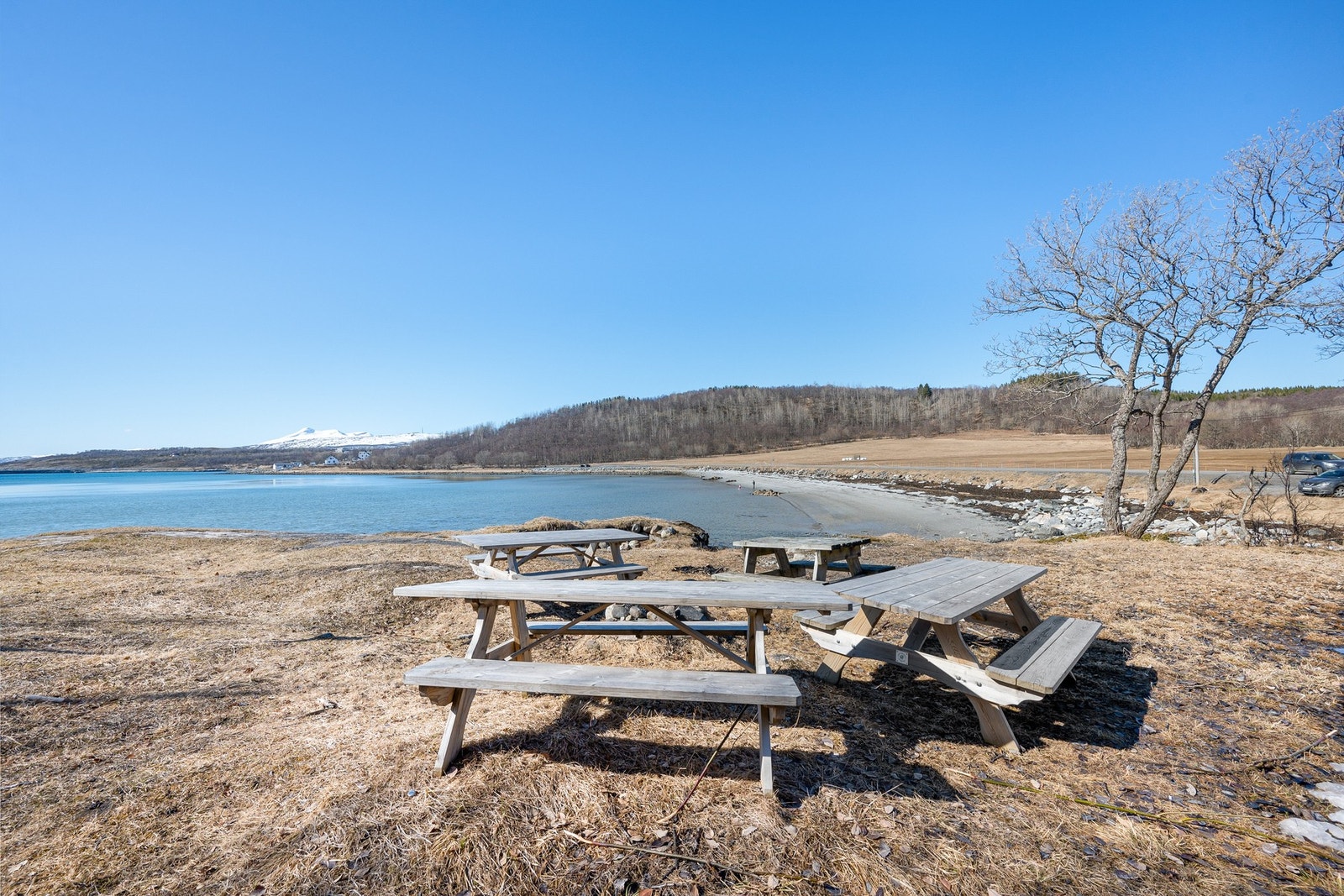 Bilder fra nærmiljøet Galleribilde