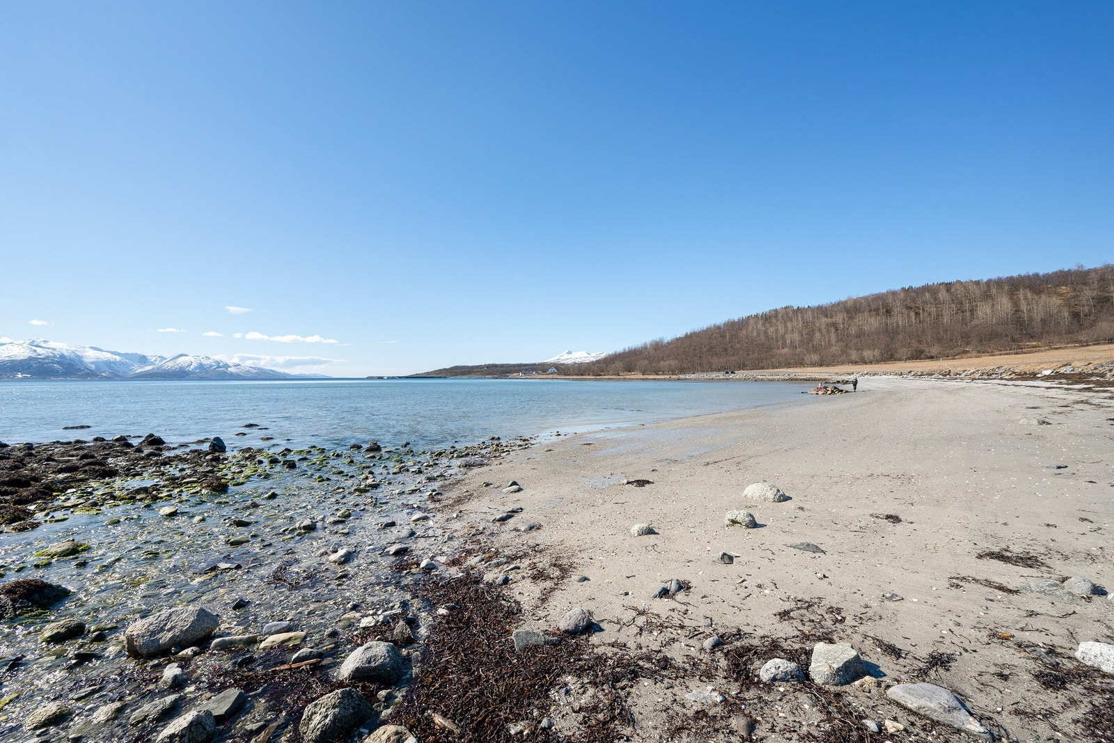 Bilder fra nærmiljøet Galleribilde