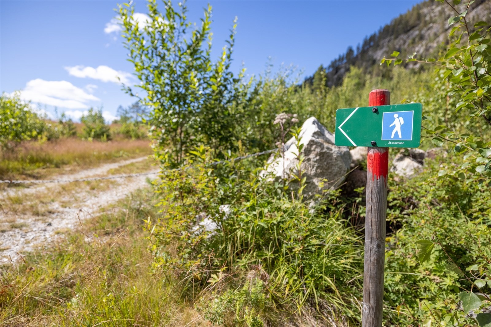Nærområdet er kjent for flotte turstier sommerstid, og velpreparerte skiløyper vinterstid Galleribilde