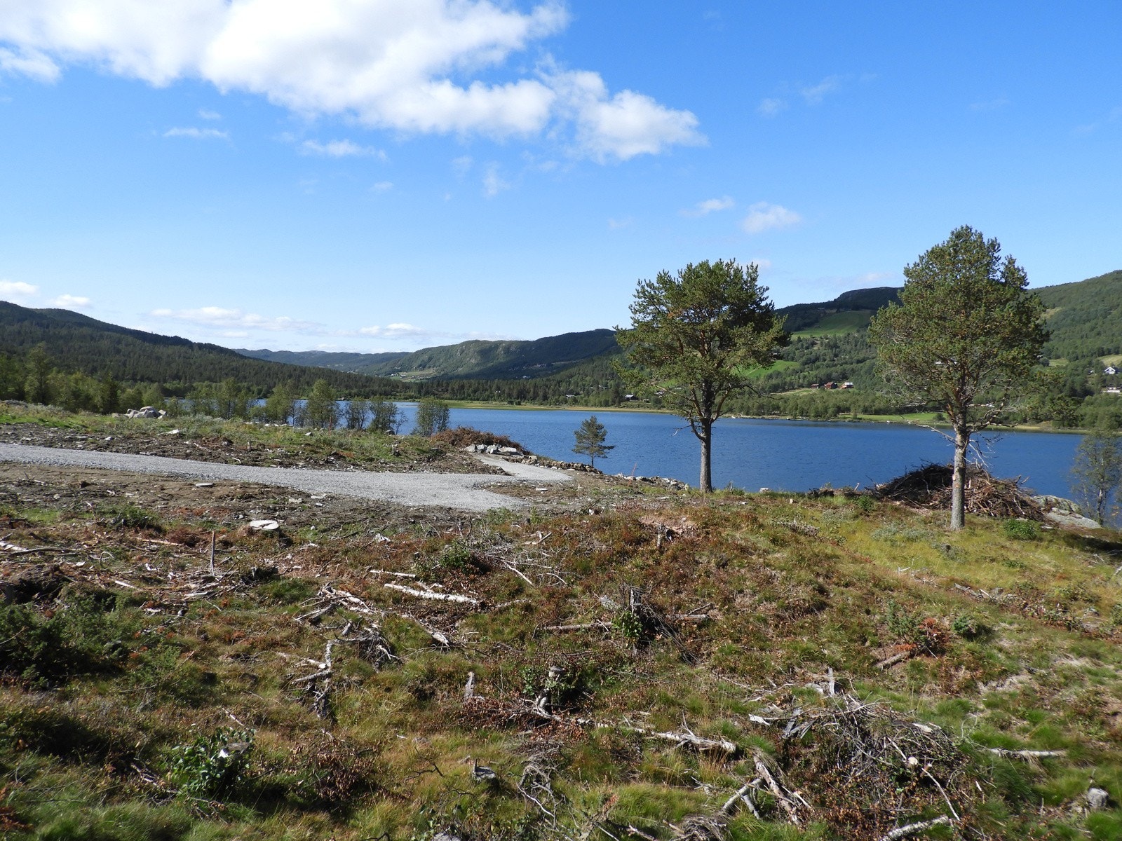 Utsikt fra tomt 15 Galleribilde