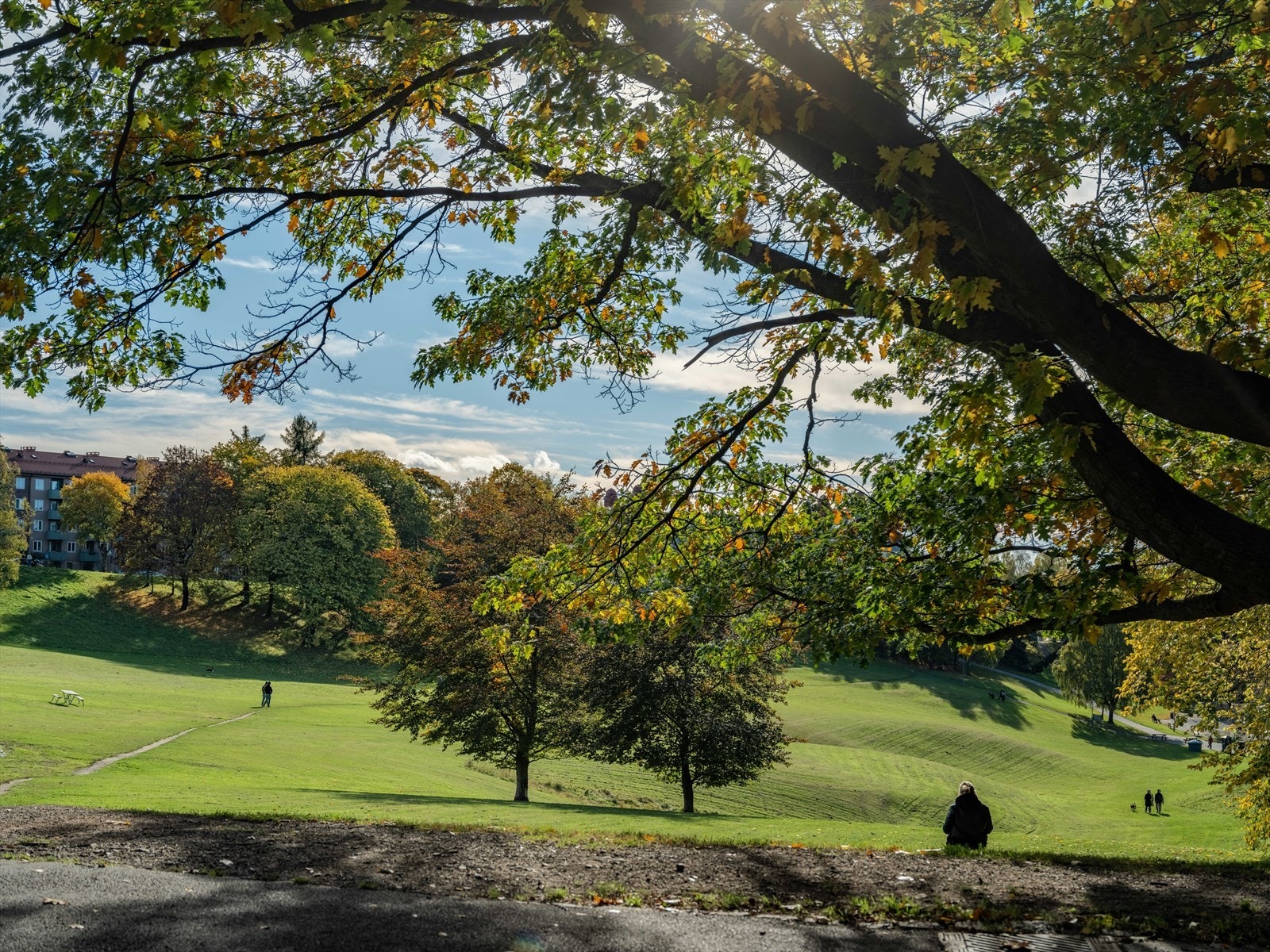 I nærområde finner du bl.a. nydelige Botanisk Hage, livlige Sofienbergparken, Tøyenparken der Øyafestivalen arrangeres hver sommer, flotte Torshovdalen og fine turstier langs Akerselven. Galleribilde