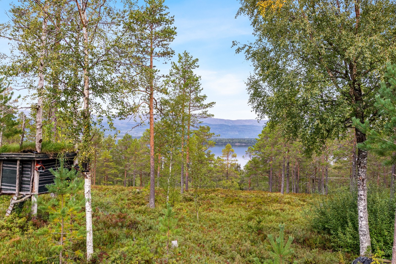 Utsikt mot Snåsavatnet. Galleribilde