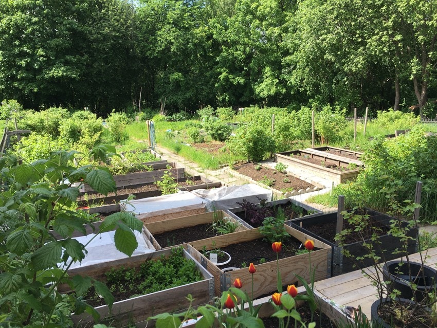 Parsellhage på eiendommen kan leies etter ønske og ansiennitet. Galleribilde