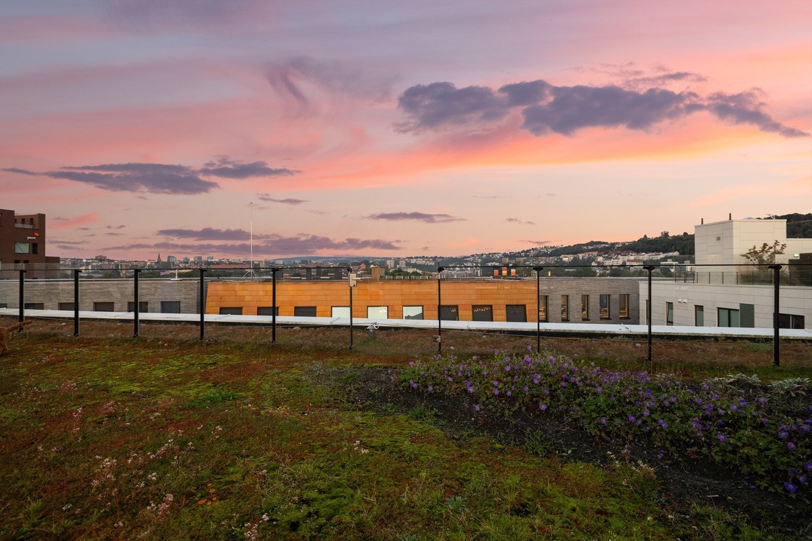 Takterrassen. Galleribilde
