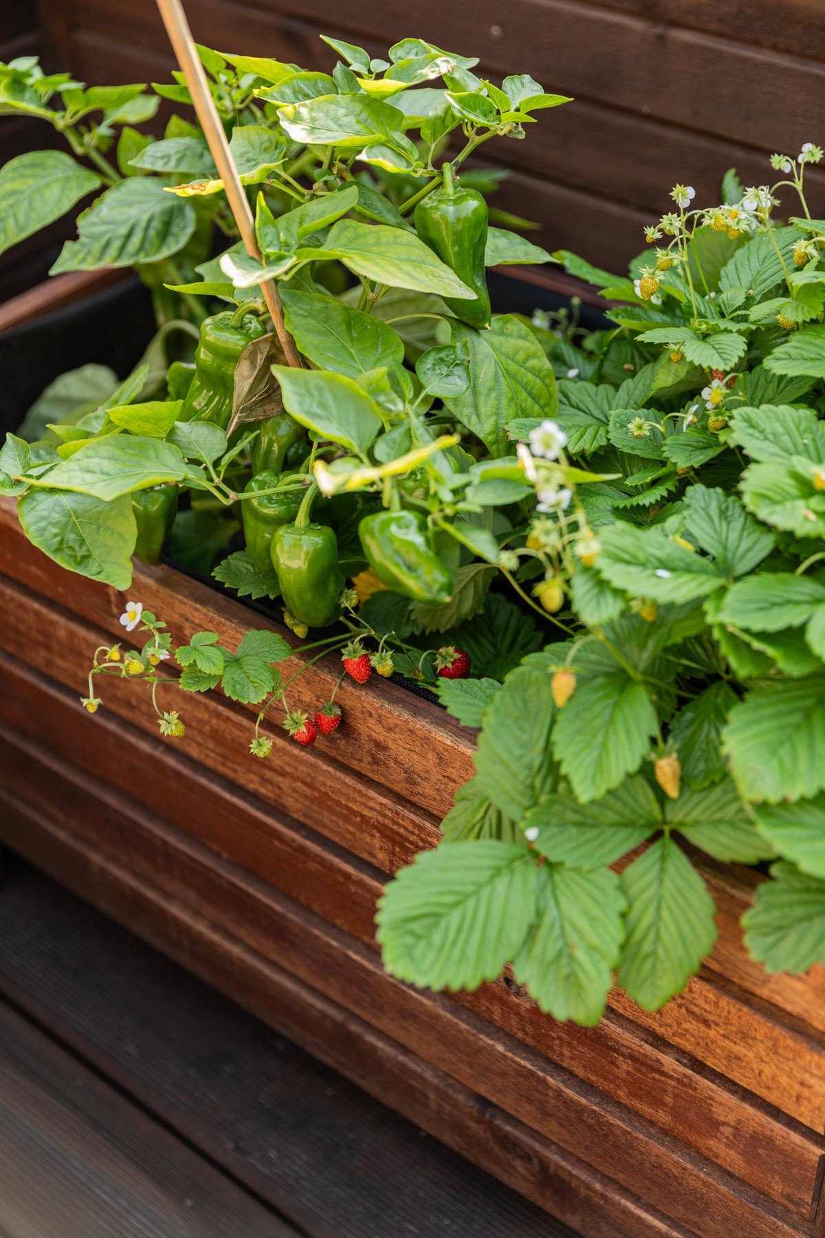 Detaljbilde. Galleribilde