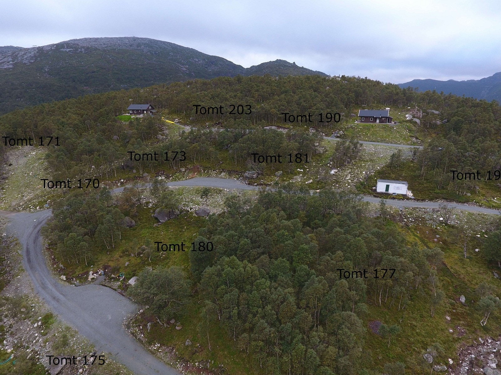 Tomter midt i feltet Galleribilde