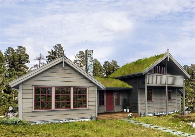 Stavtjørn sommer illustrasjon fra kr. 4.290.000,- Galleribilde