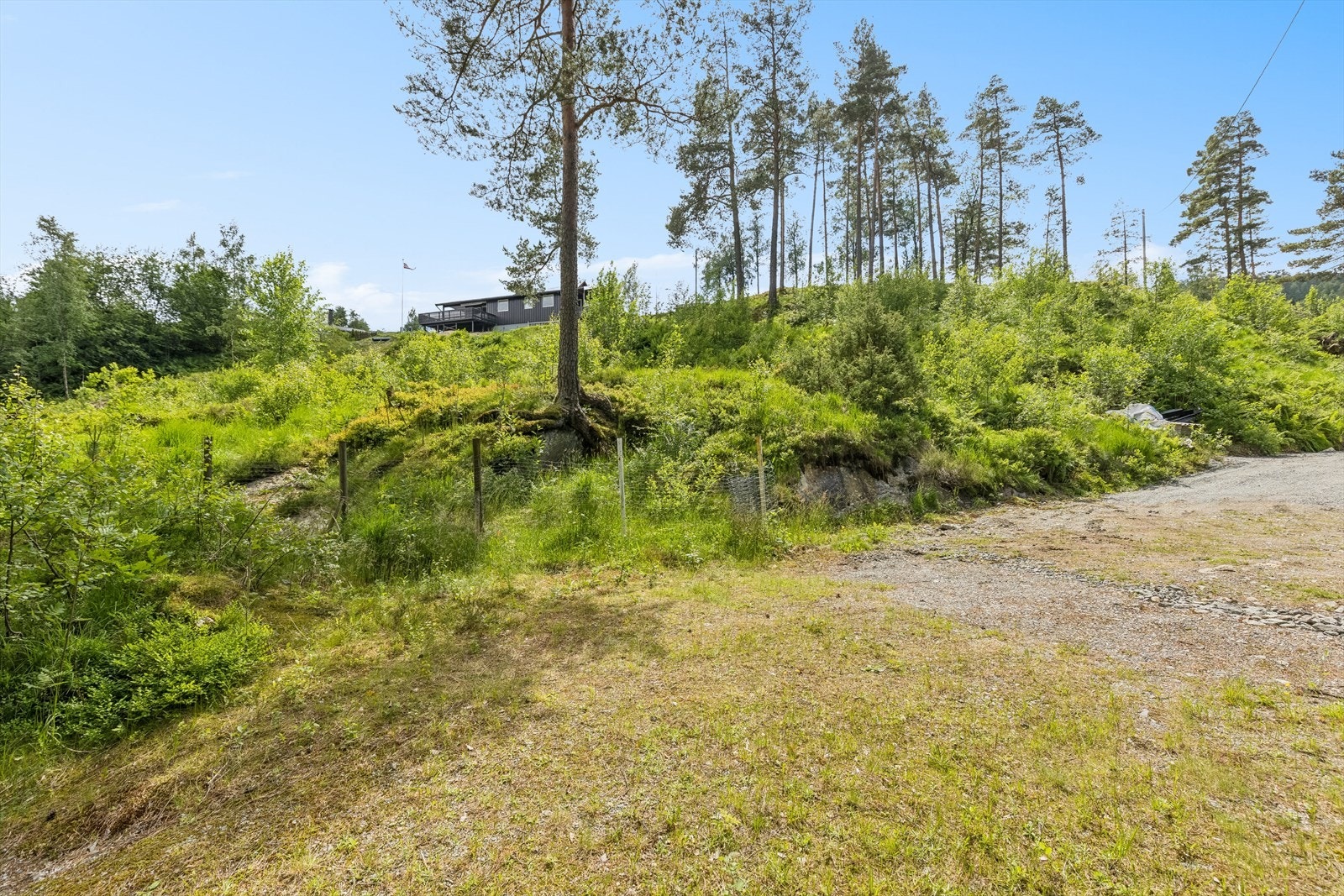Det er etablert privat vei frem til tomten. Galleribilde