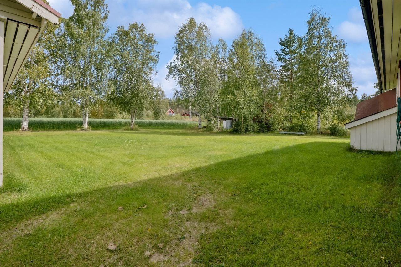 Ute Galleribilde