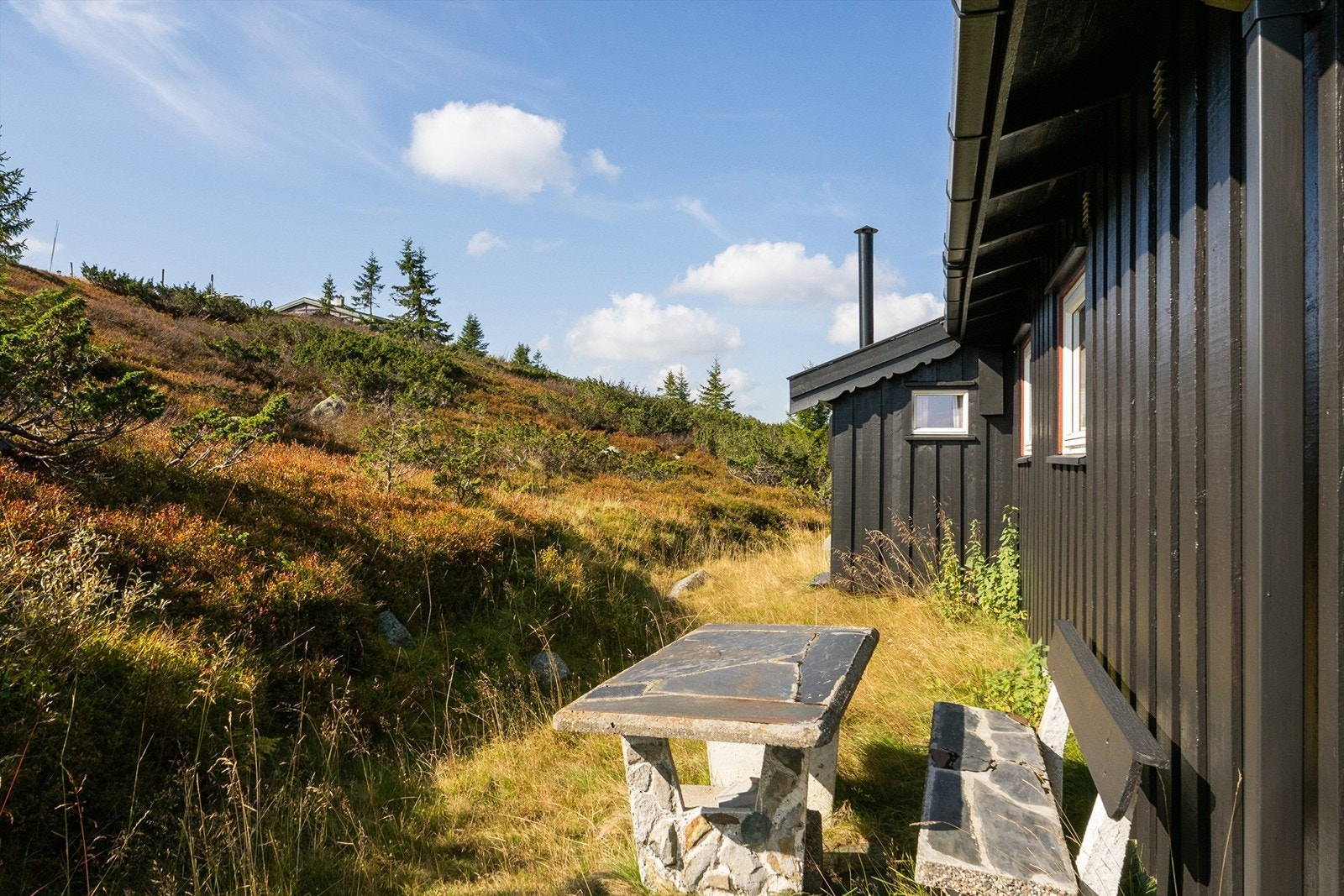 Uteområde Galleribilde