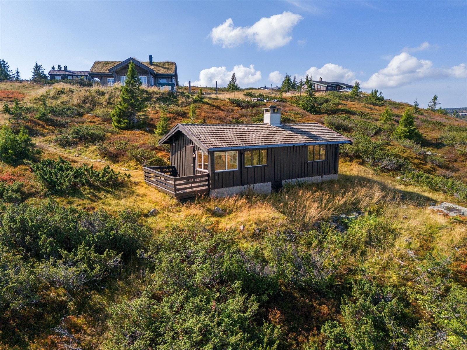 Dronefoto Galleribilde