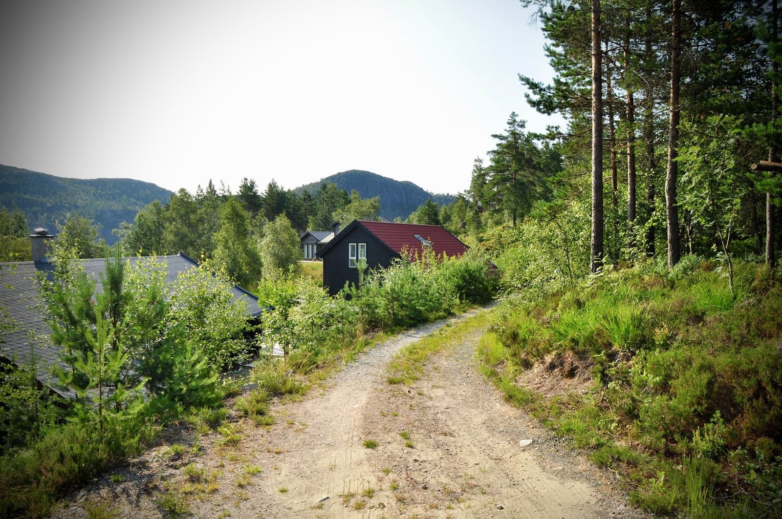 Sommervei Galleribilde