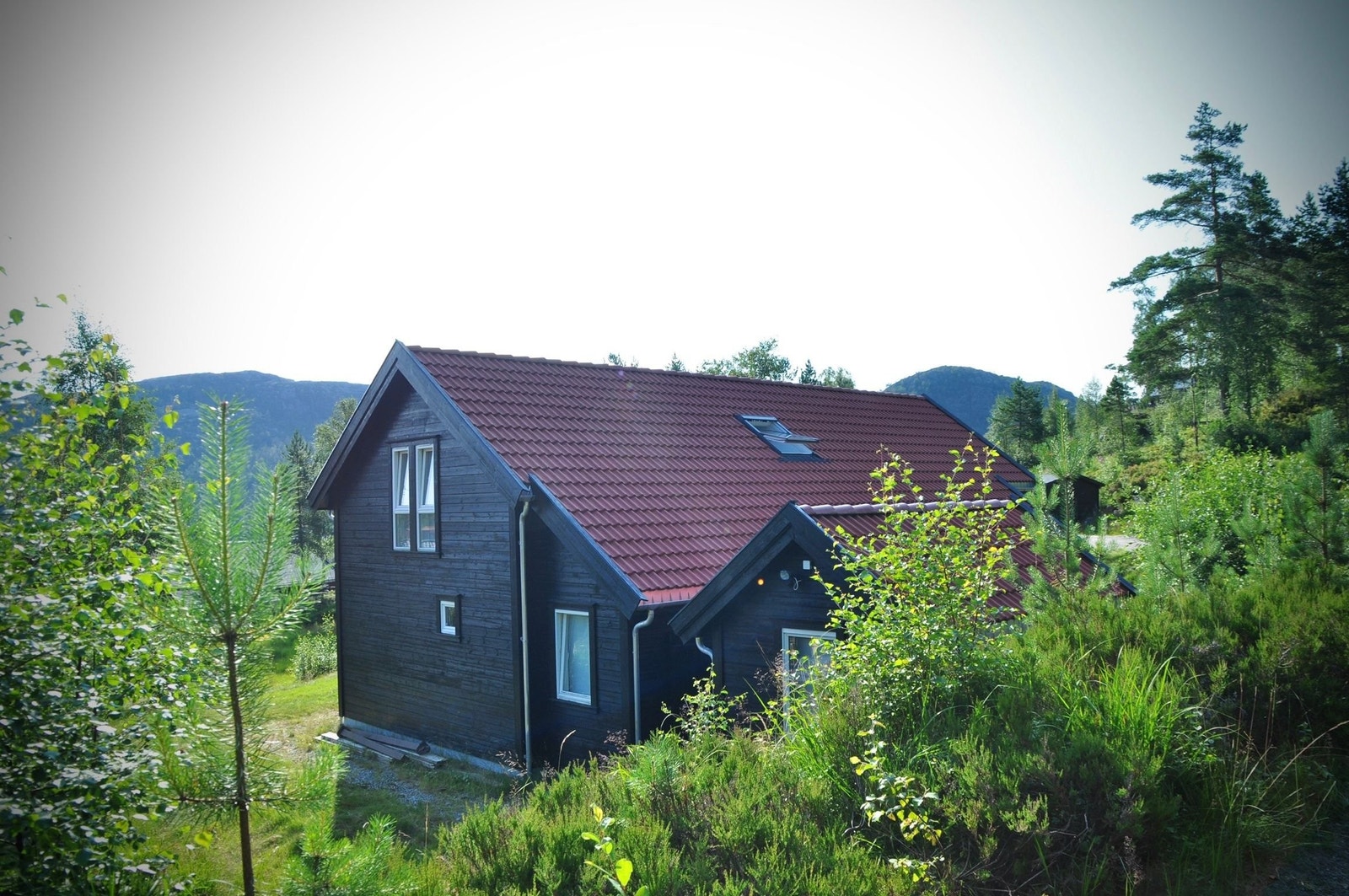 Nordsiden Galleribilde
