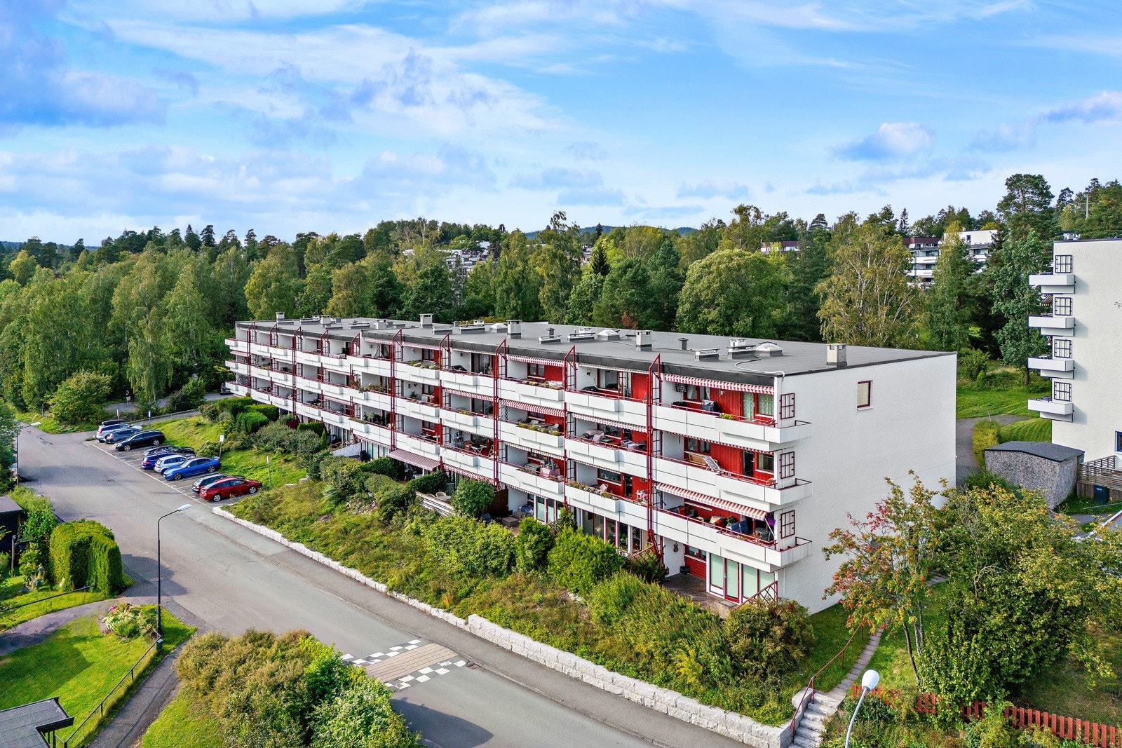 Fururabben 6 c - Galleribilde
