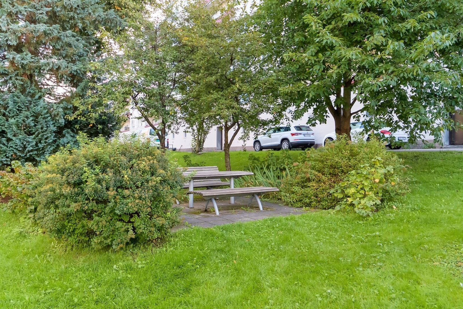 Fellesarealer Galleribilde