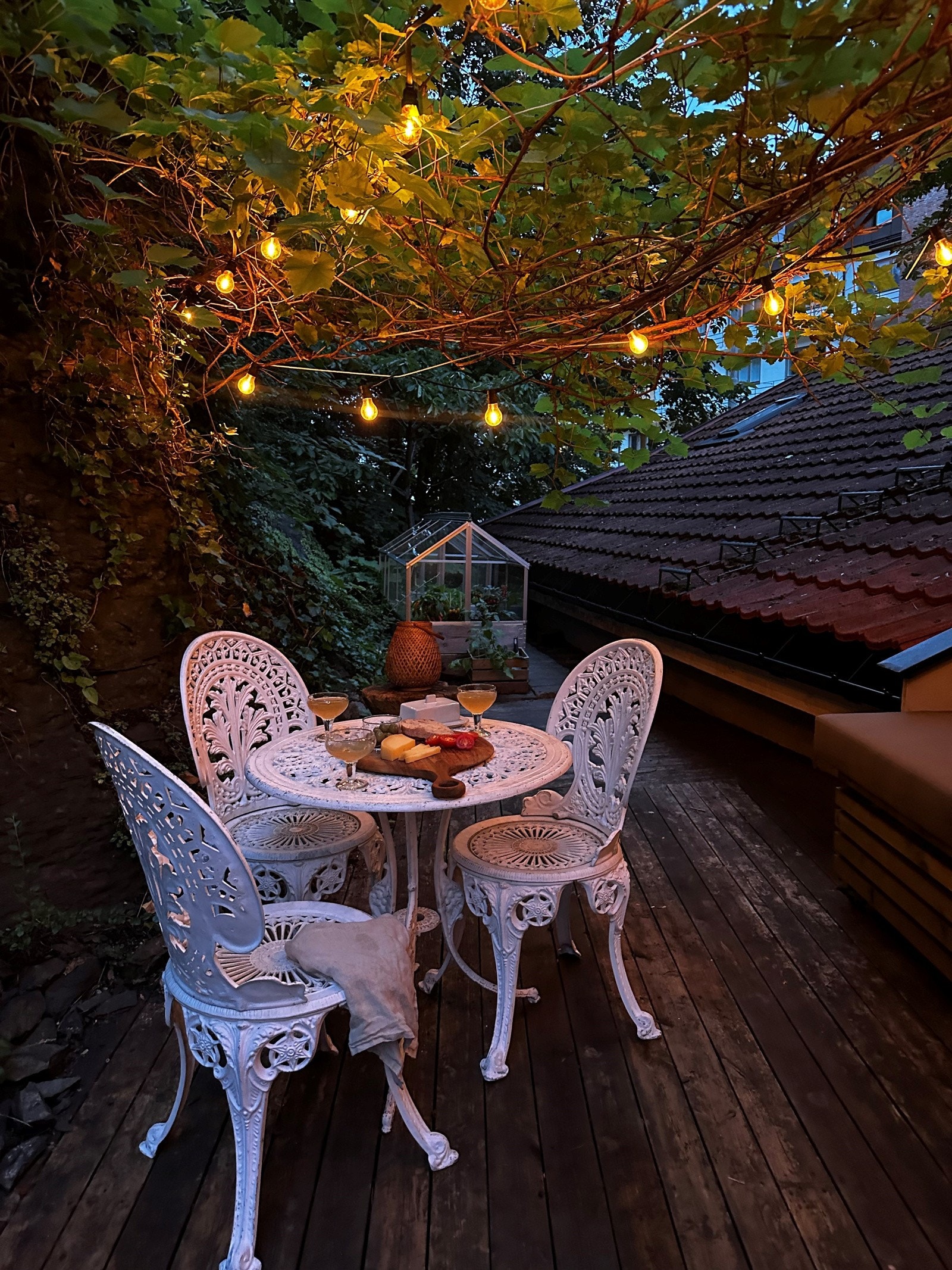 Kveldsbilde fra bakhagen Galleribilde