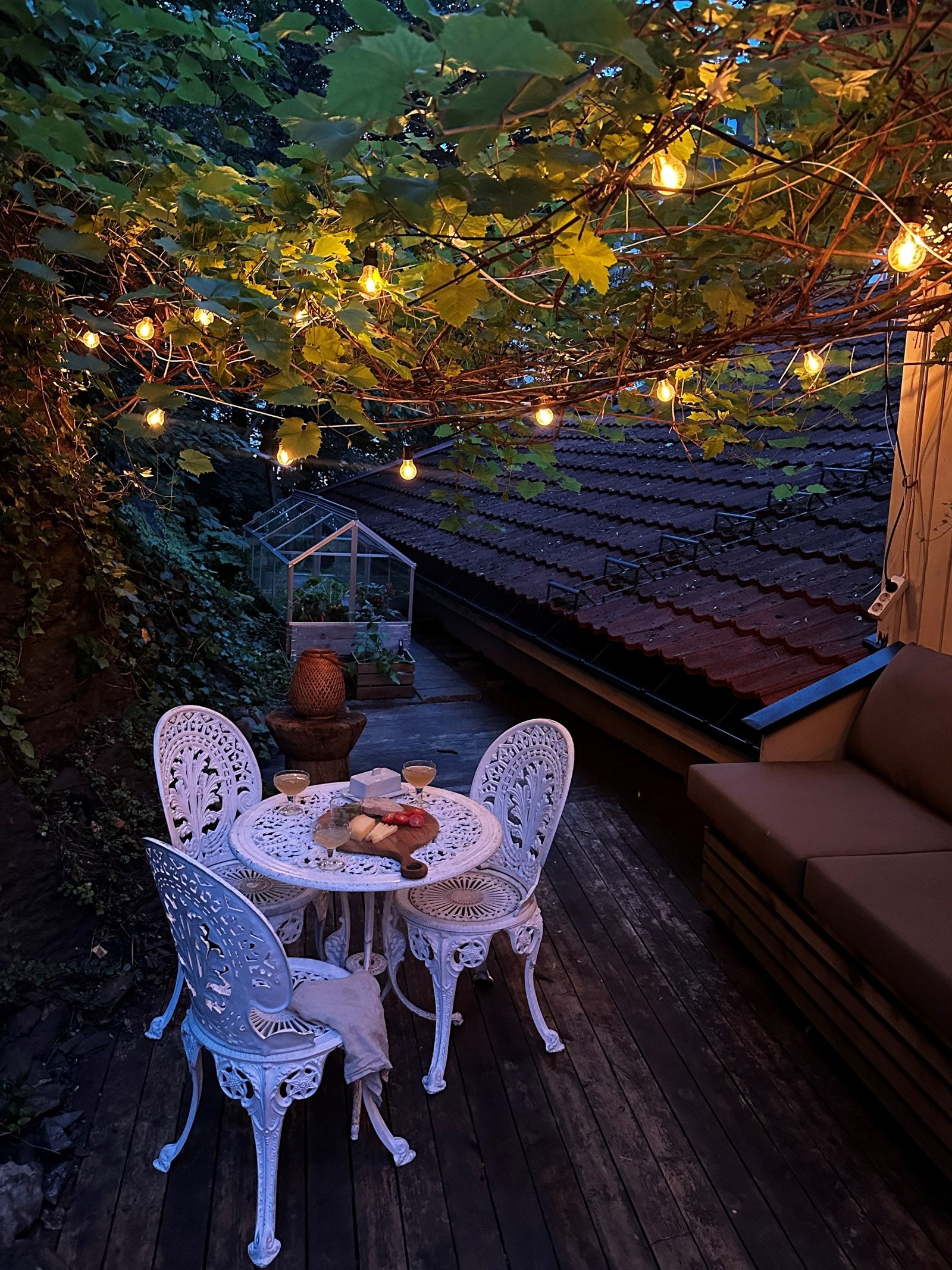 Kveldsbilde fra bakhagen Galleribilde