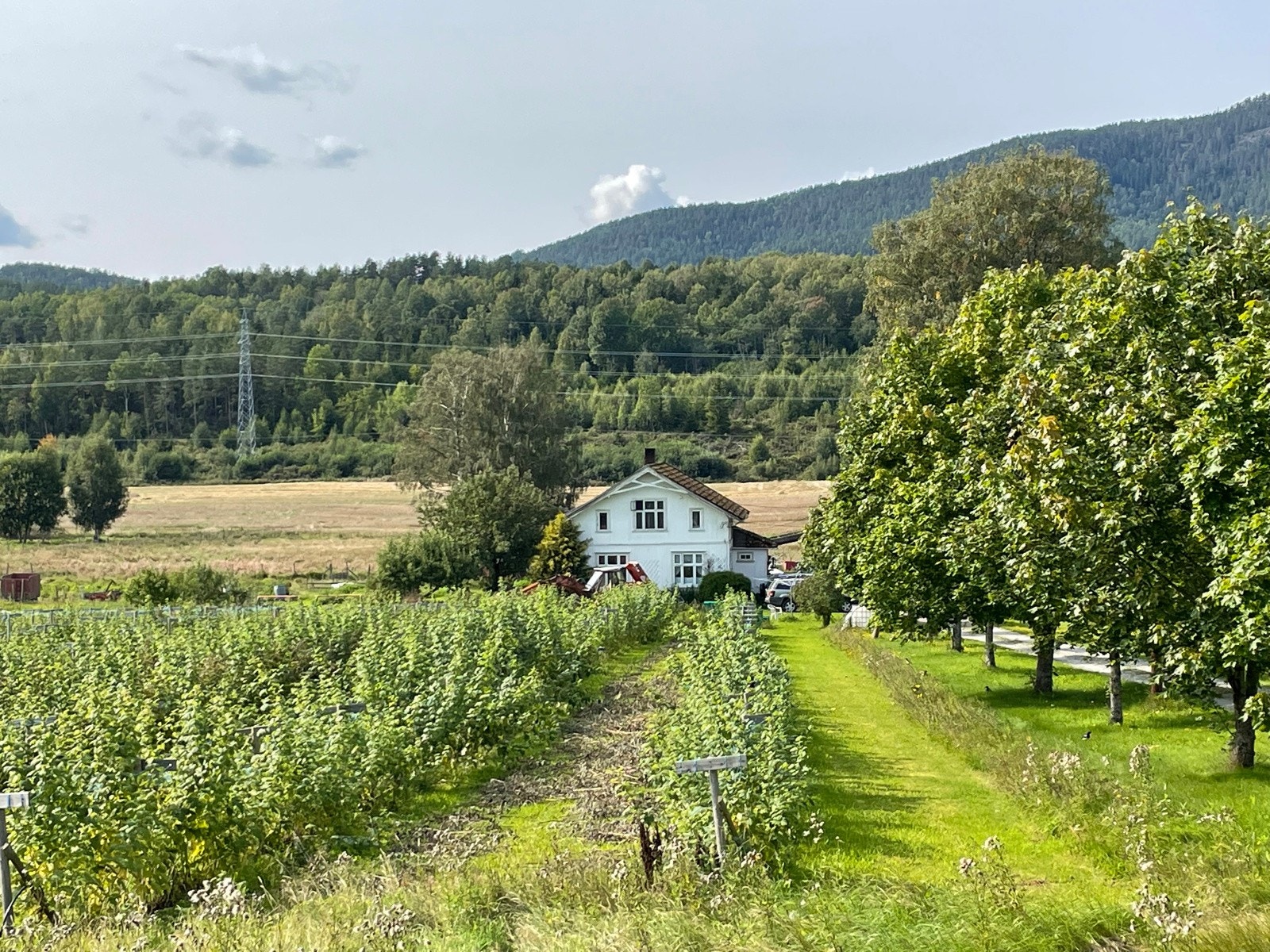 IMG_8468 Galleribilde