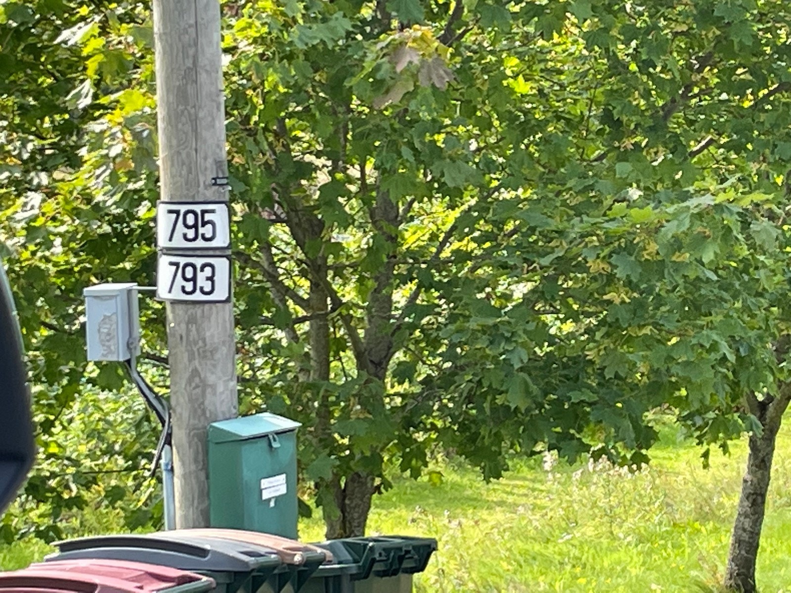 IMG_8470 Galleribilde