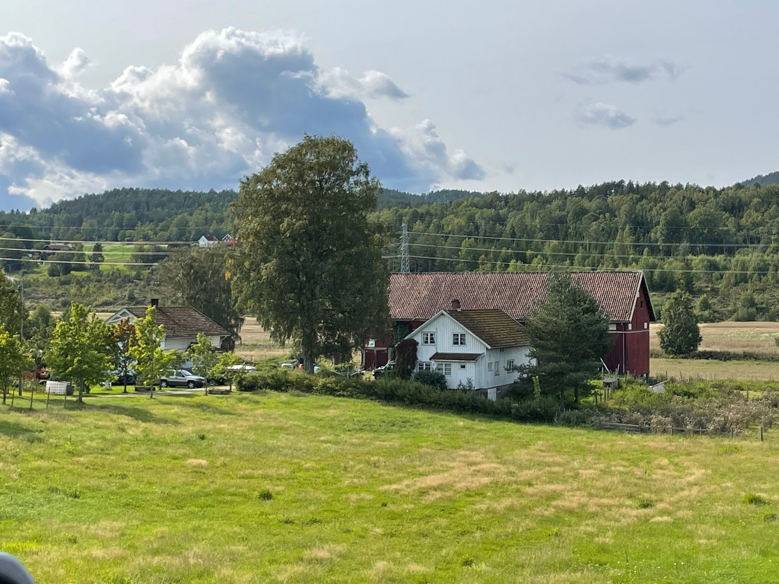 IMG_8467 Galleribilde