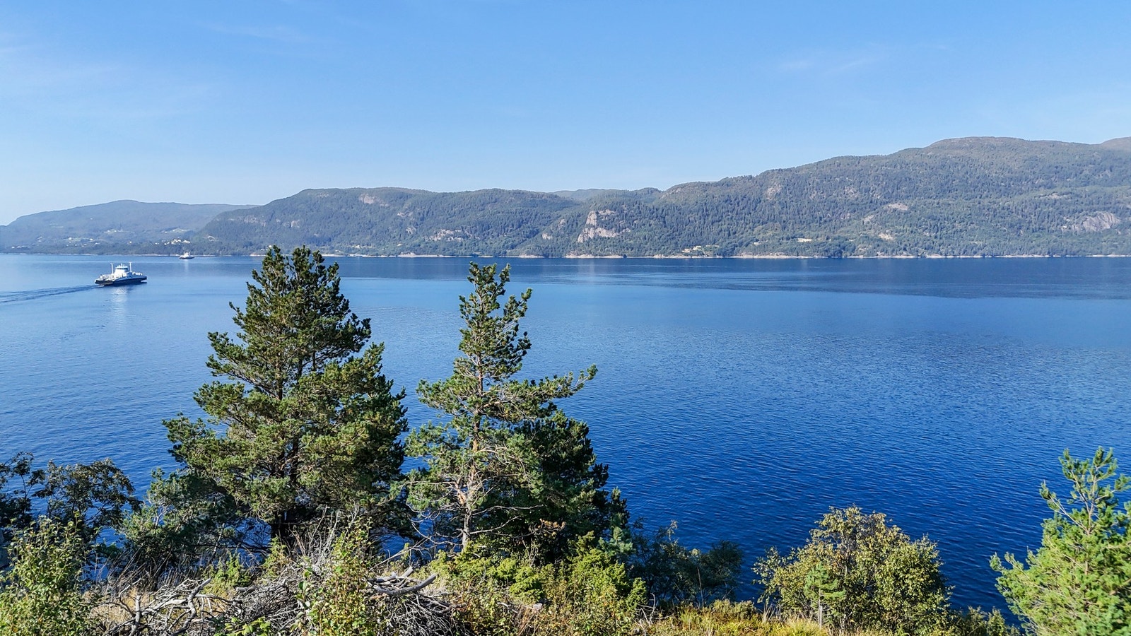 Dronefoto fra cirka 5 meters høyde. Galleribilde