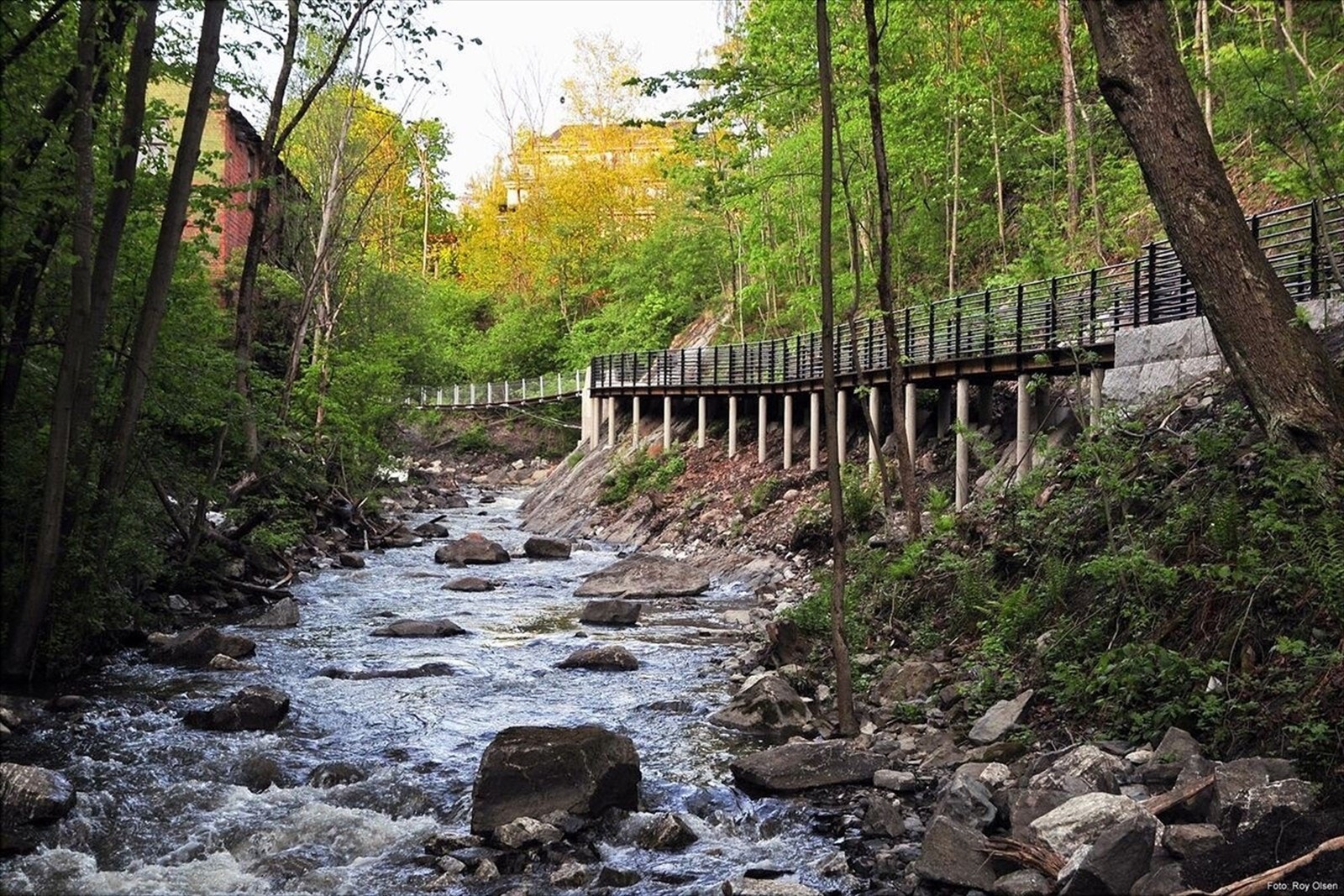 Svartdalsparken, urskog i Oslo med turstier og Kruttverket, et kulturhus med galleri, scene, kafé og bar i Bydel Gamle Oslo Galleribilde