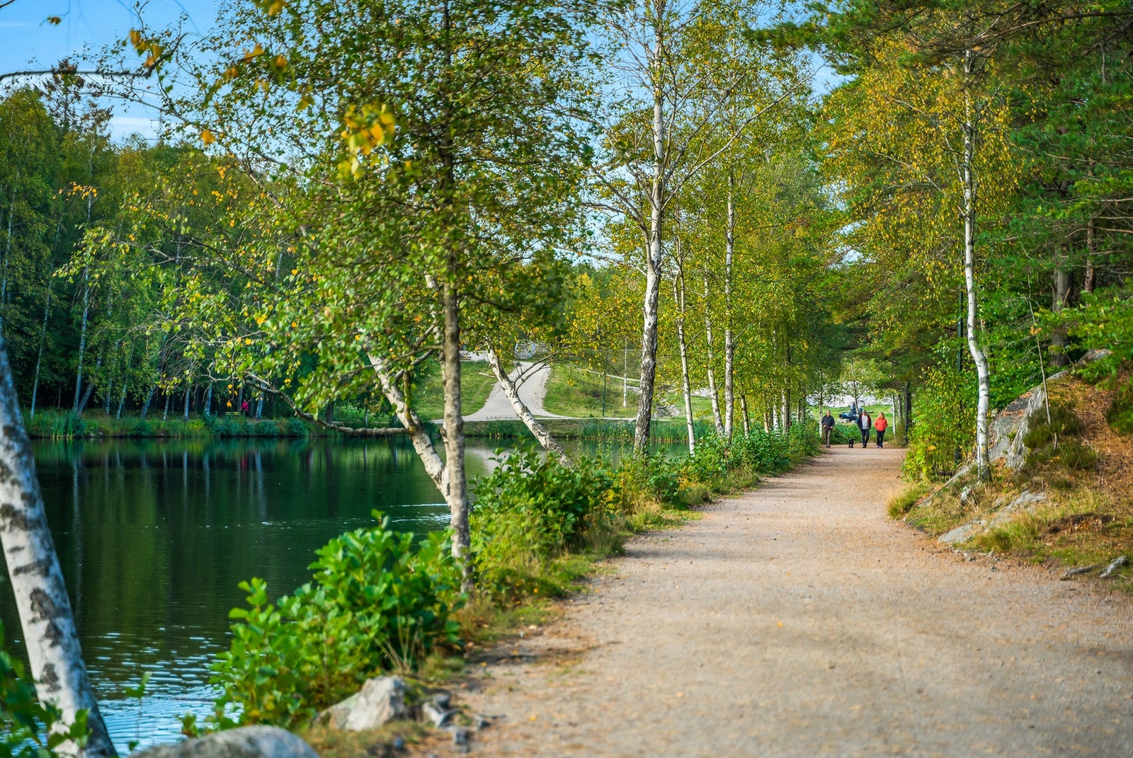 Bjørndalsdammene. Galleribilde