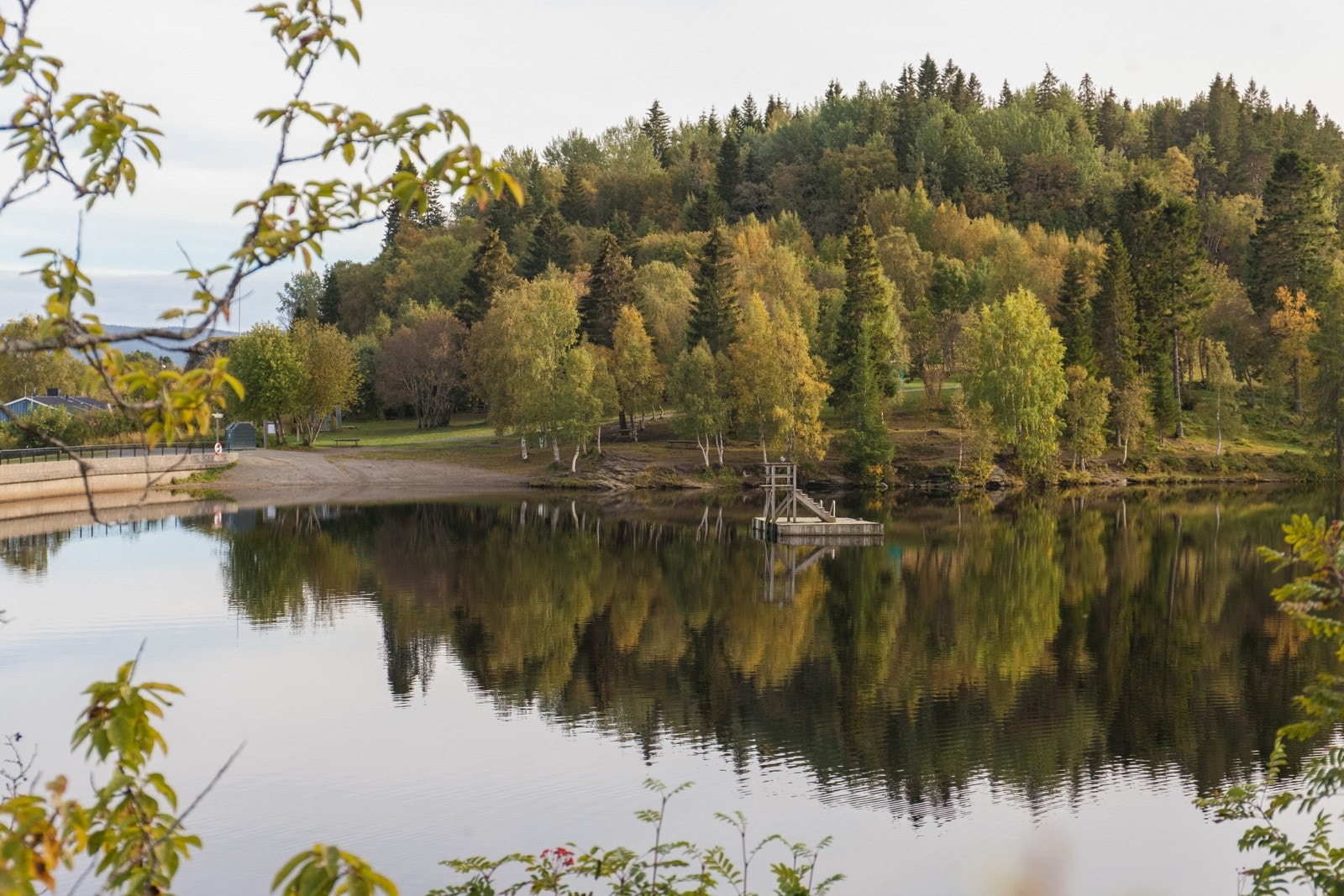 Bymarka med helårsturterreng og bademuligheter i nærområdet. Galleribilde