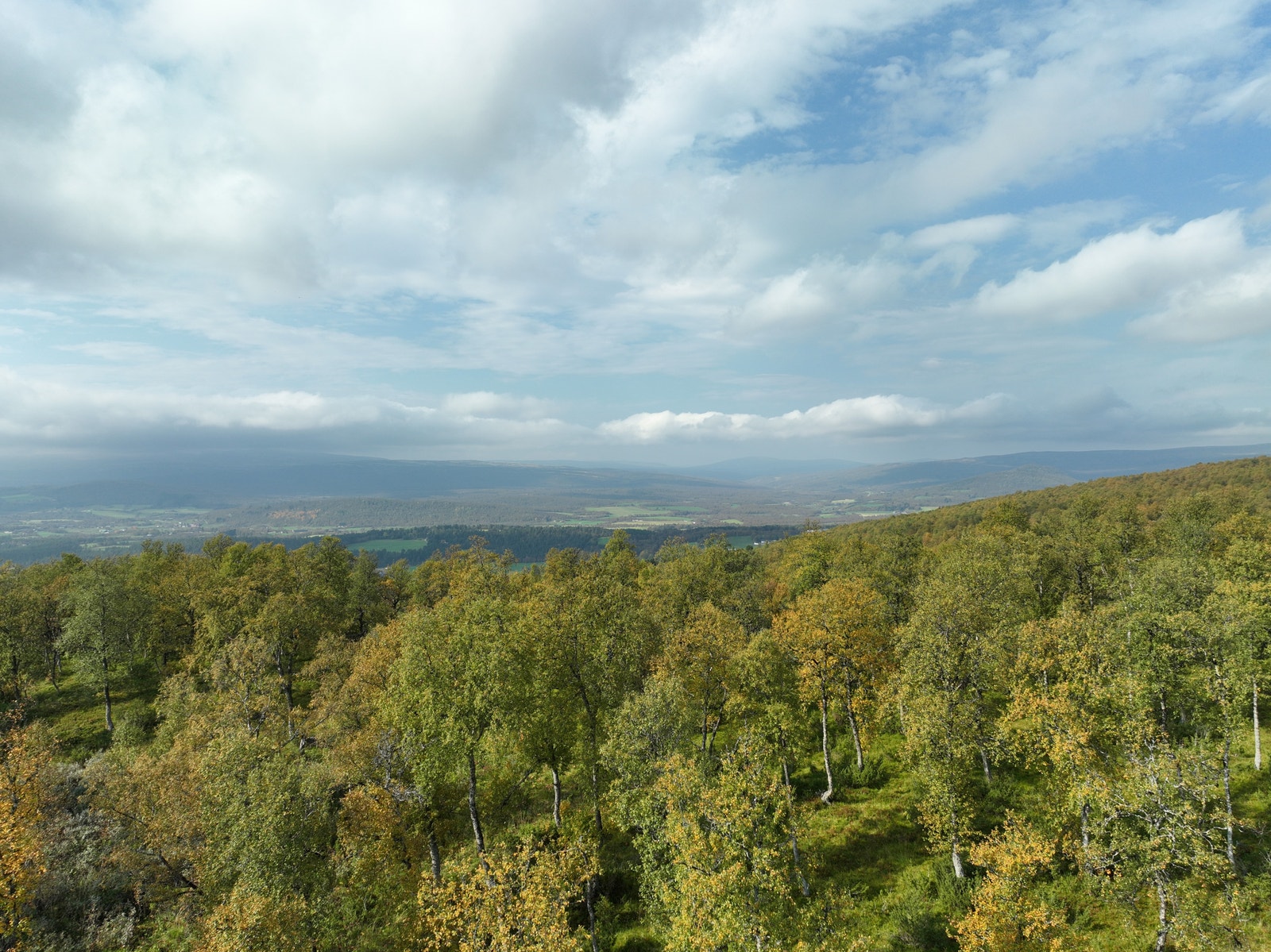 Fra tomta mot Dalsbygda høsten 2024. Galleribilde