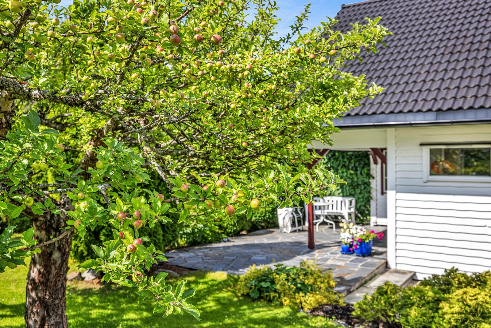 Hagen er pent opparbeidet med plen, prydbusker og fruktrær. Galleribilde