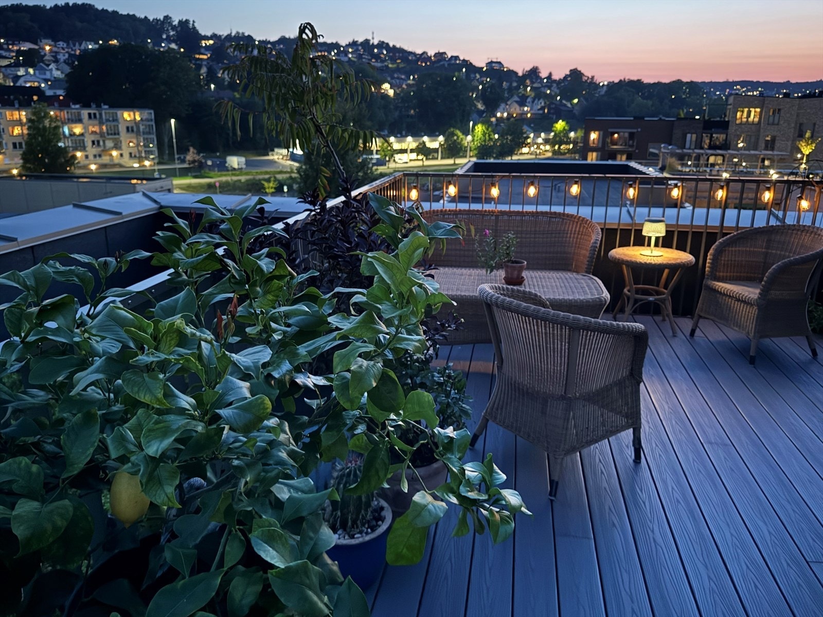 Nydelig belysning på fine sommerkvelder. Galleribilde