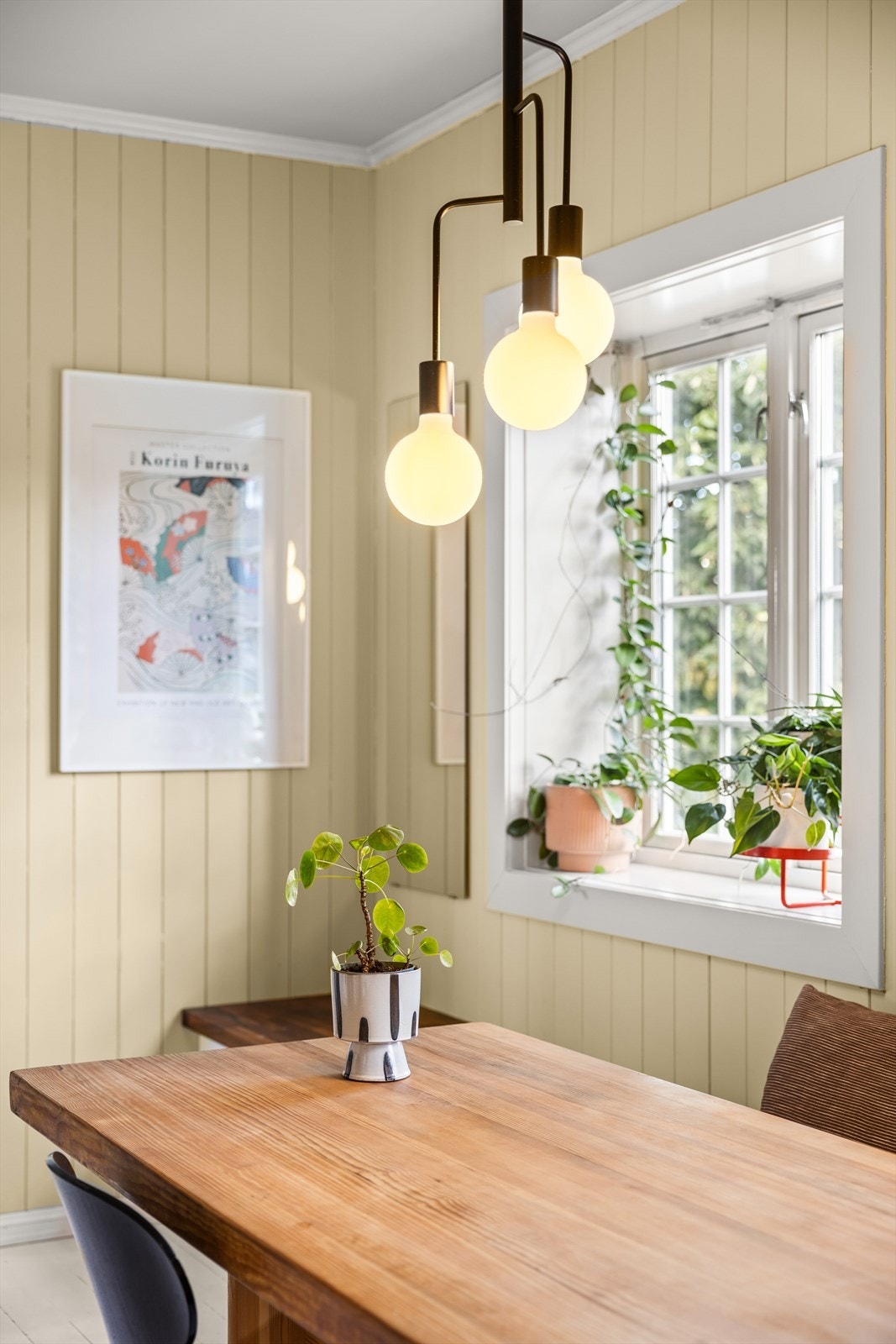 Her vil den matglade stortrives! Galleribilde