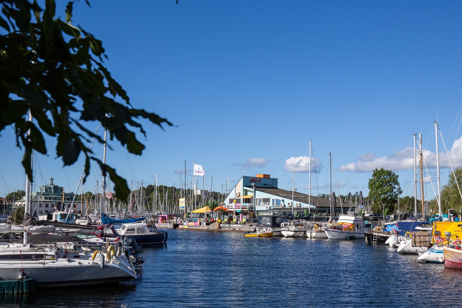 Kongen Marina er rett i nærheten. Galleribilde