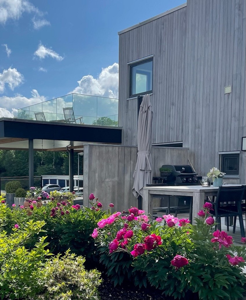 Bilde fra hagen i Nordåstræet Galleribilde