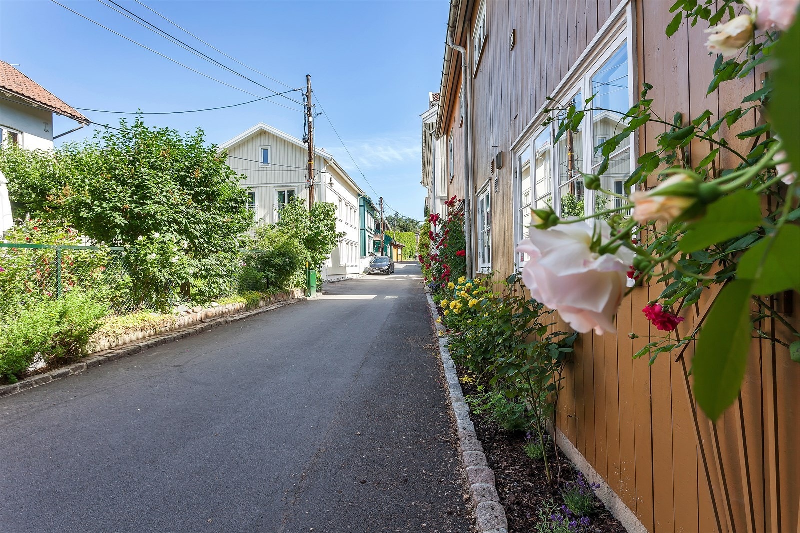 Rodeløkka sin flotte trehusbebyggelse. Galleribilde