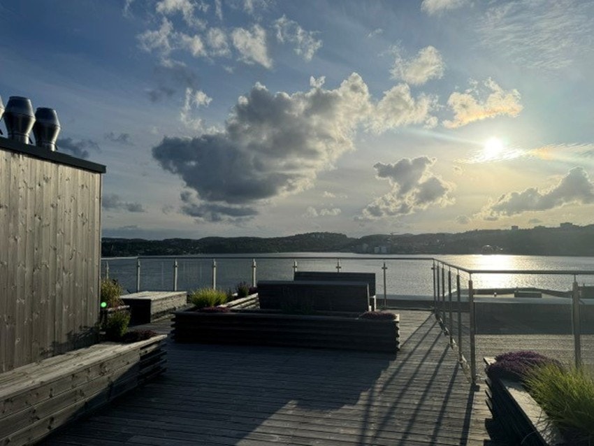 Felles takterrasse Galleribilde