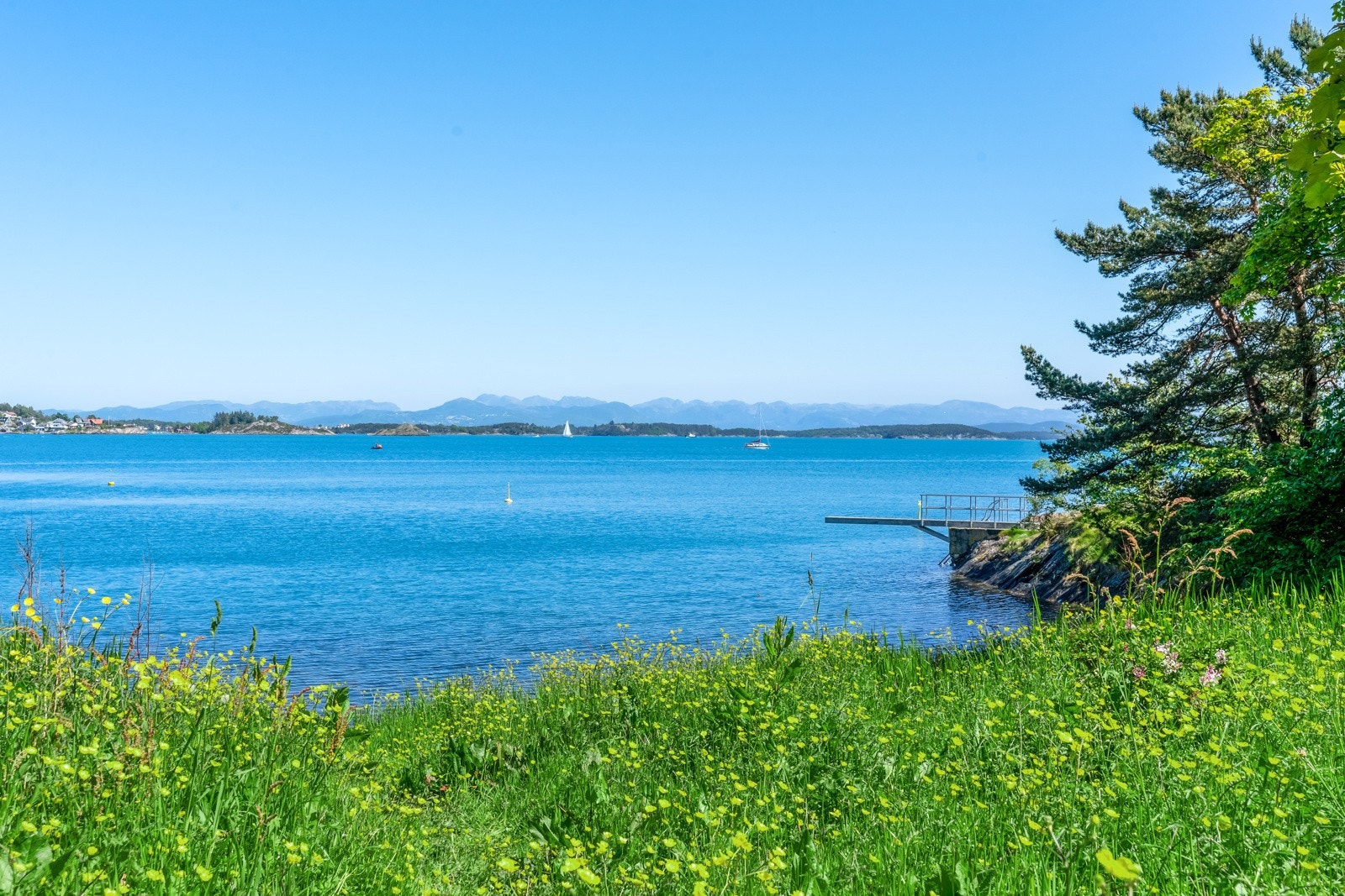 Nærområde. Galleribilde