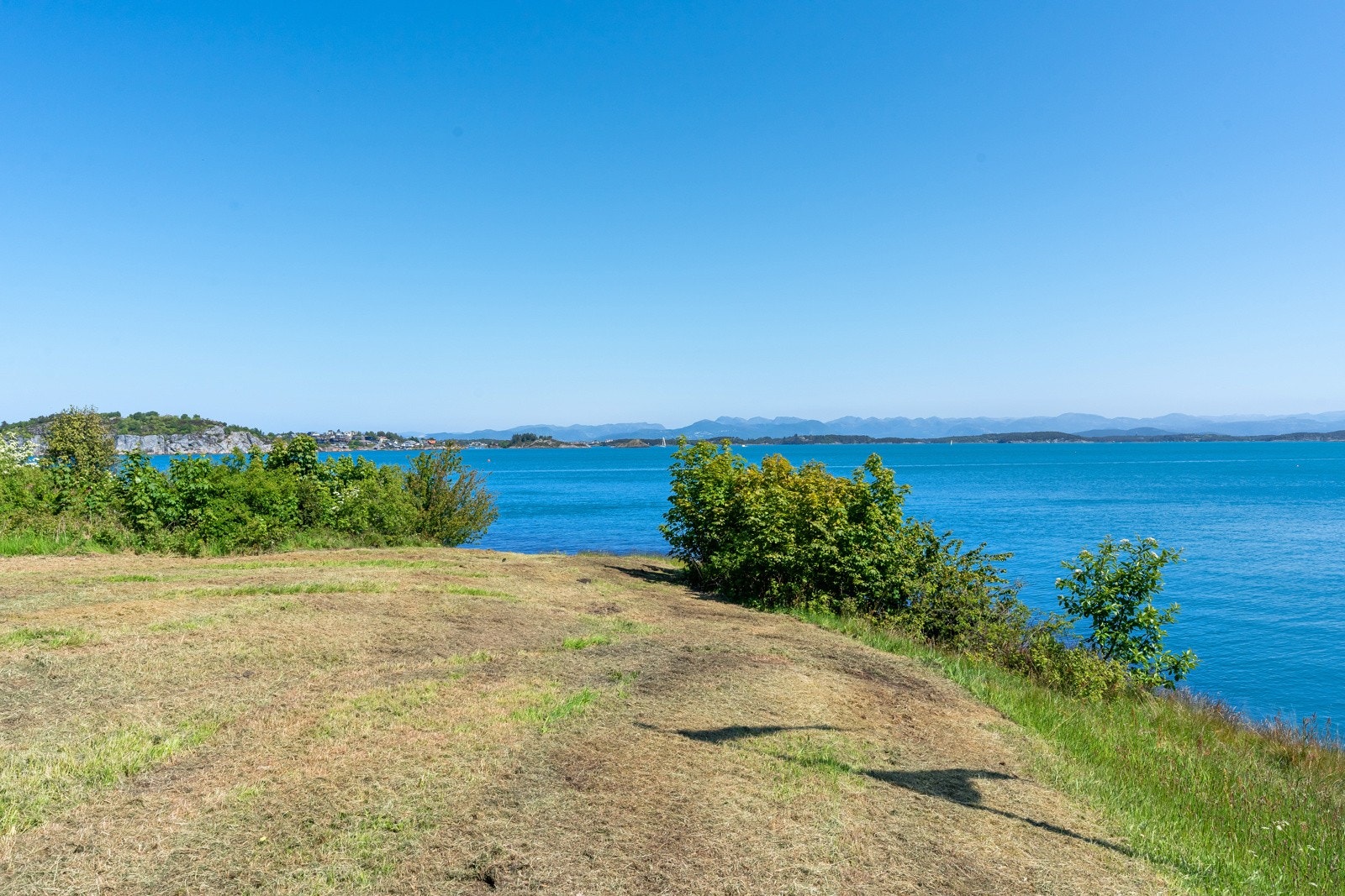 Nærområde. Galleribilde