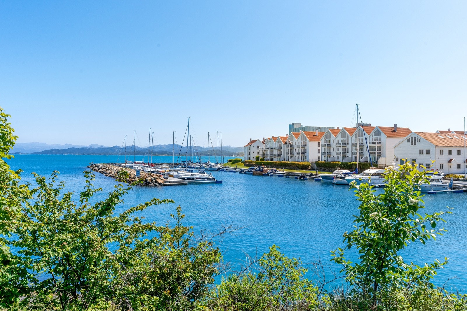 Nærområde. Galleribilde