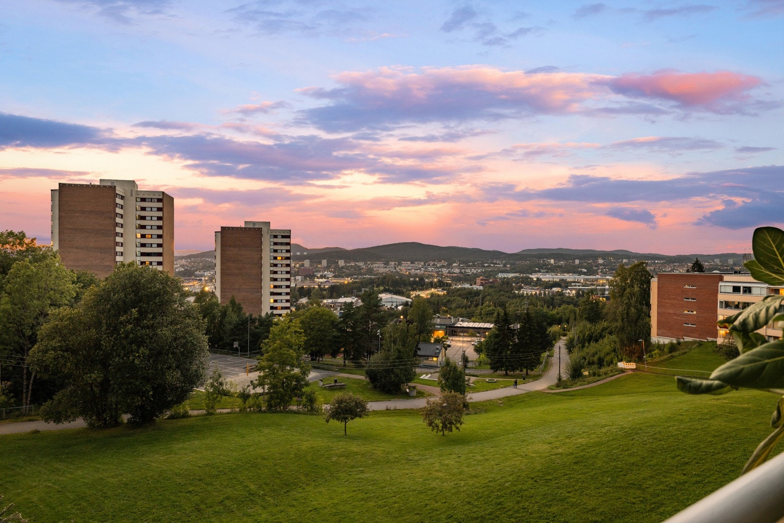 Flott kveldsutsikt Galleribilde