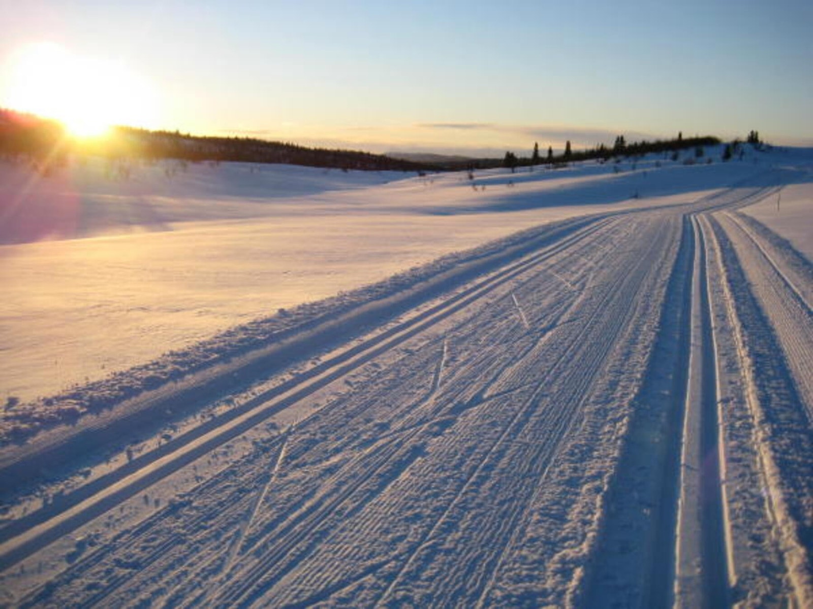 Flotte skiløyper Galleribilde