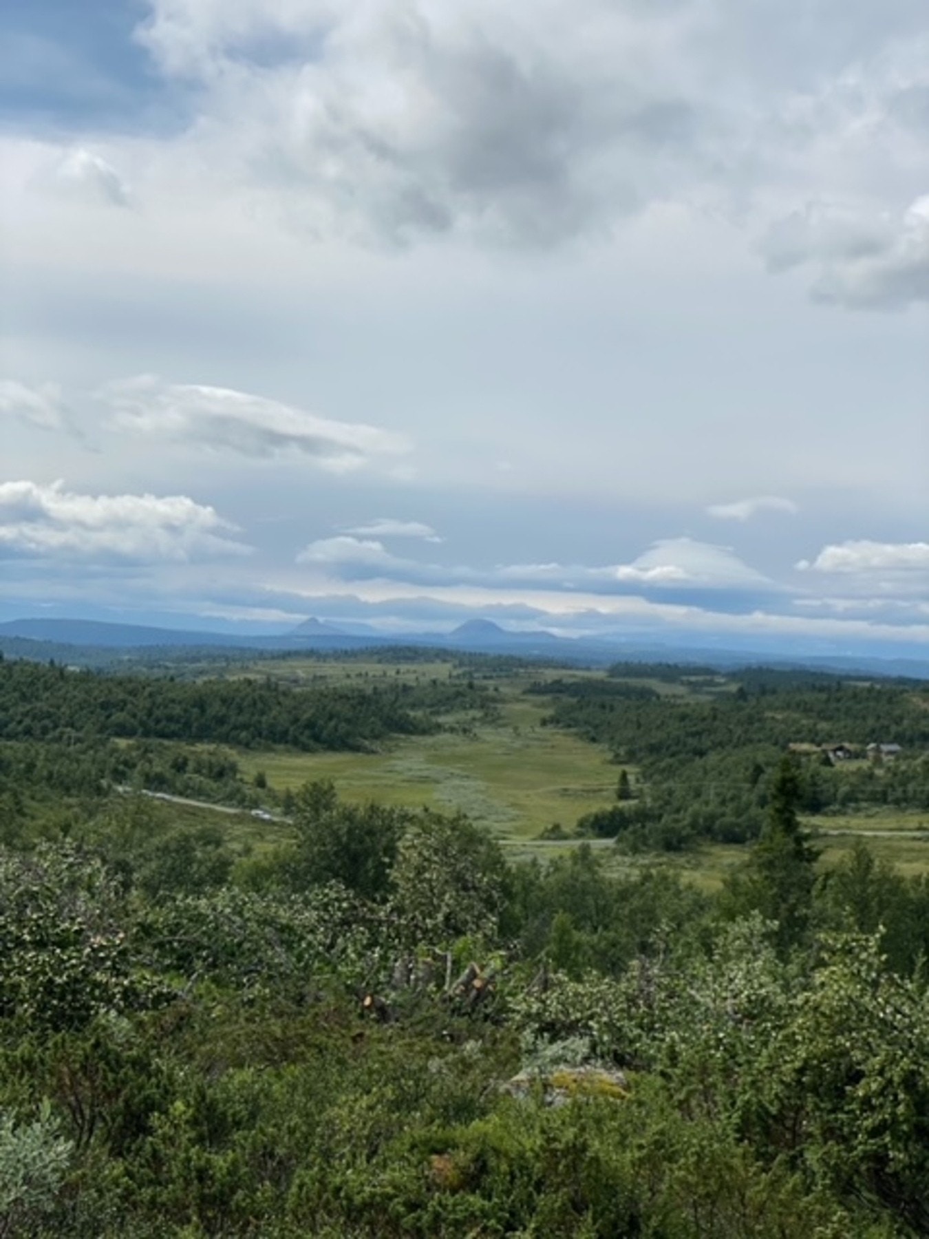 Foto fra tomteområdet Galleribilde