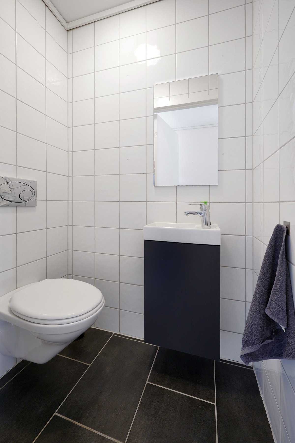 Gjestetoalett Galleribilde