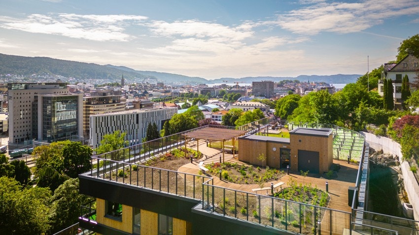 - Byens beste utsikt? Denne kan nytes fra 500 m2 felles takterrasse på plan 11 i sameiet Villa Amtmann - Galleribilde