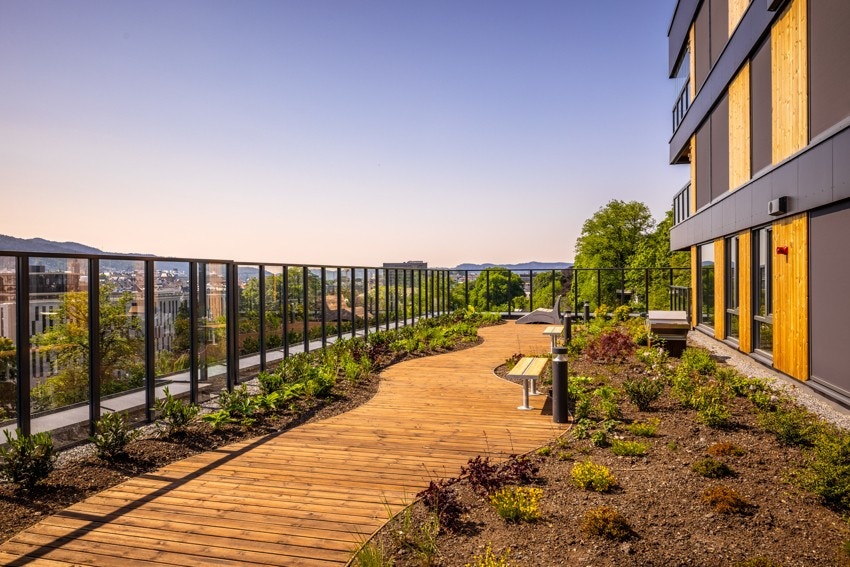 - Koselig felles takterrasse på plan 8 - Galleribilde