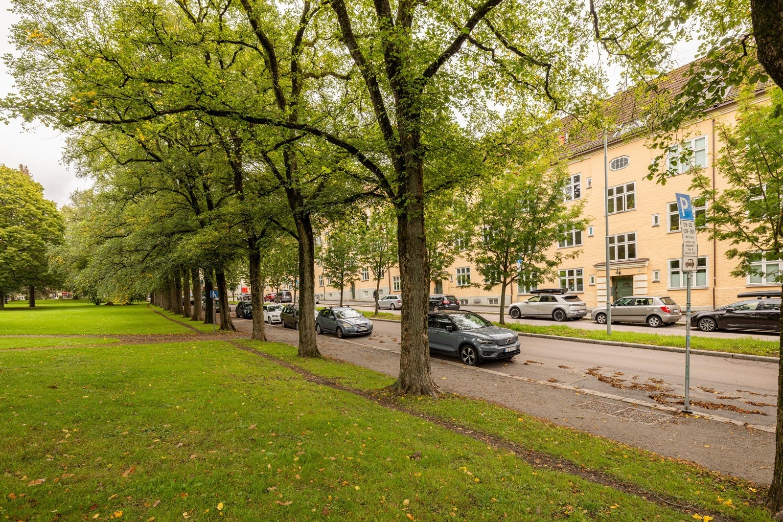 Et par skritt over dørterskelen har man populære Torshovparken Galleribilde