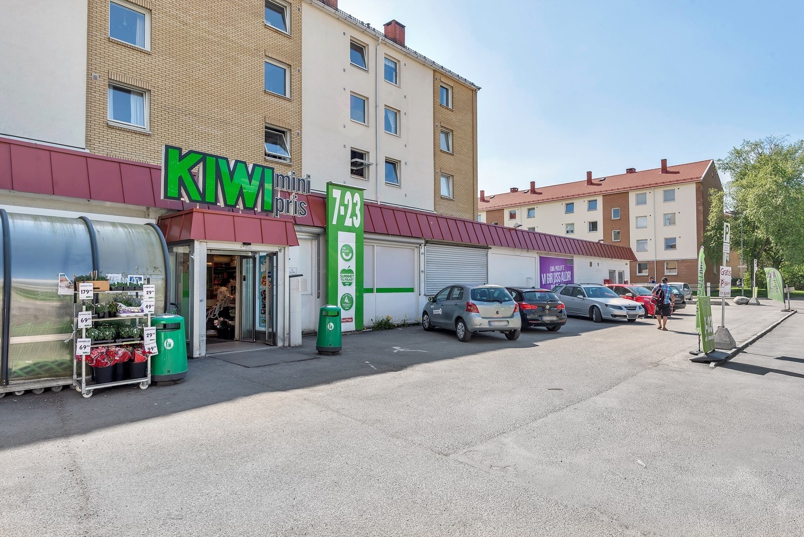 Kiwi. Galleribilde
