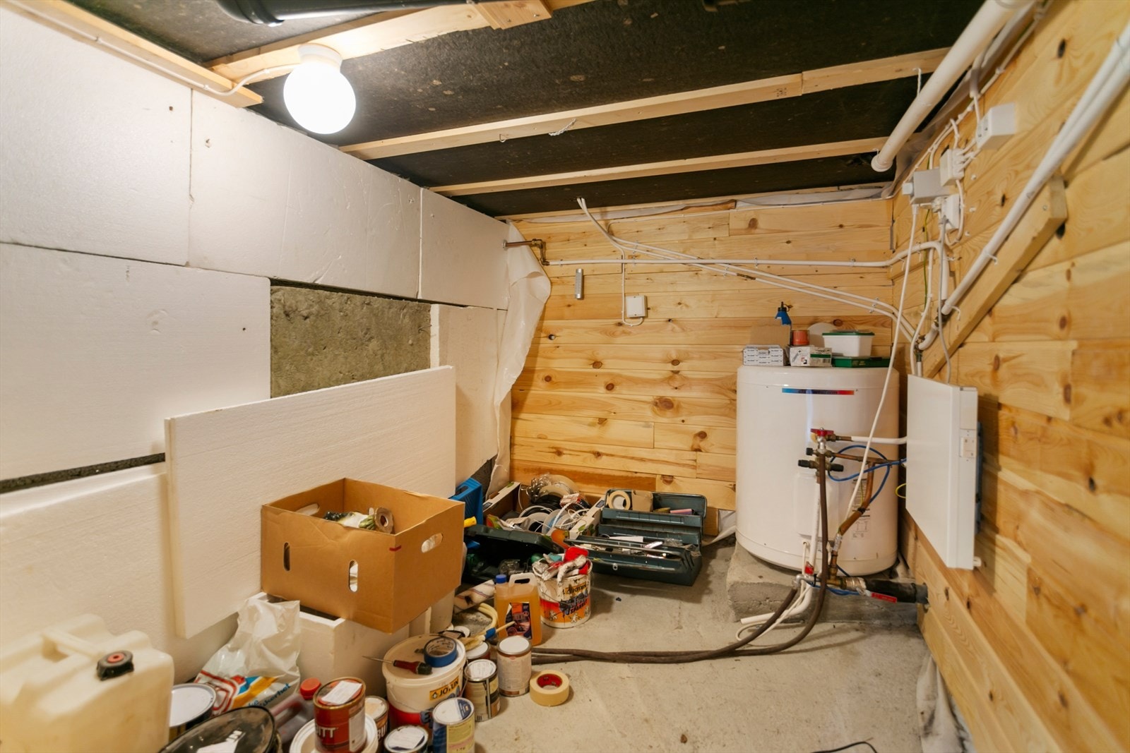 Krypkjeller Galleribilde