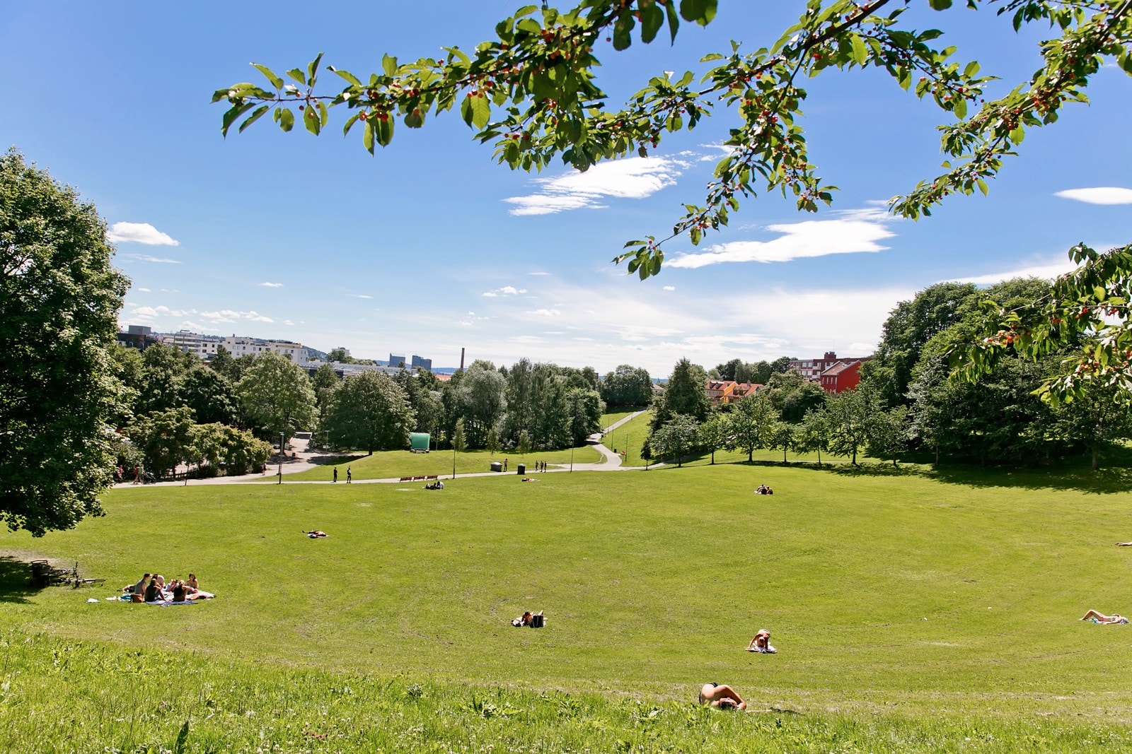Det er flere flotte parker og grøntområder i nærområdet. Her ser du Myraløkka. Galleribilde